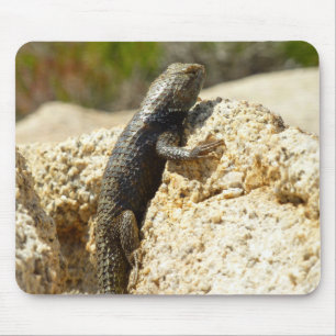 Yellow-Backed Spiny Lizard at Joshua Tree Mouse Mat