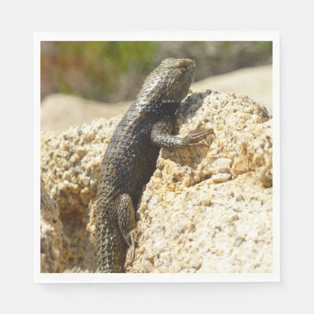 Yellow-Backed Spiny Lizard at Joshua Tree Napkin (Front)