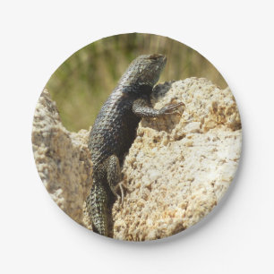 Yellow-Backed Spiny Lizard at Joshua Tree Paper Plate