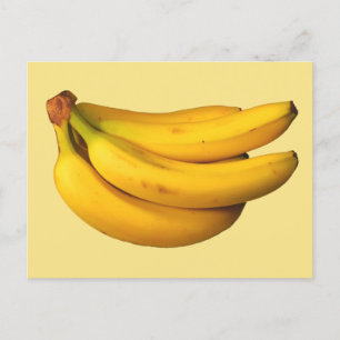 Yellow Bananas Cuddle in a Bunch Postcard