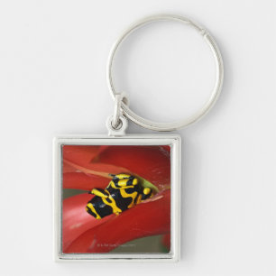 Yellow-banded poison frog key ring