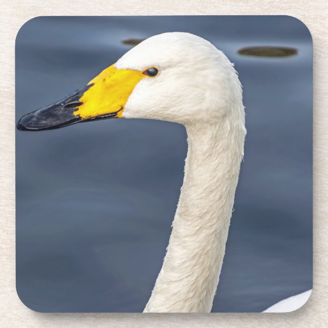 Yellow beaked swan hard plastic coasters (Front)