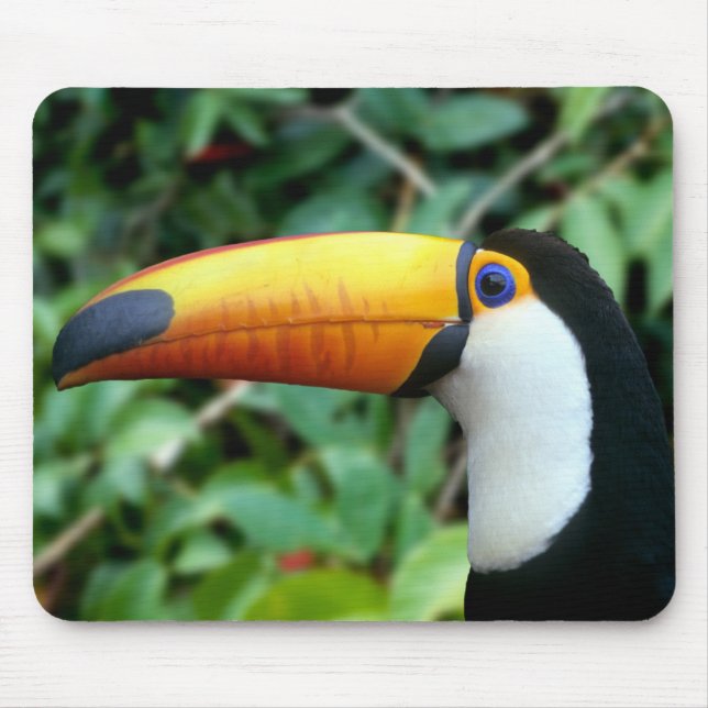 Yellow Beaked Toucan Mouse Mat (Front)