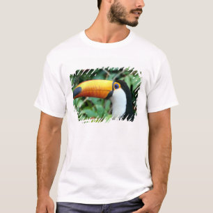 Yellow Beaked Toucan T-Shirt