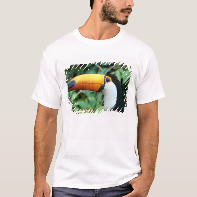 Yellow Beaked Toucan T-Shirt (Front)
