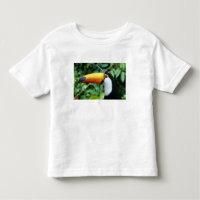 Yellow Beaked Toucan