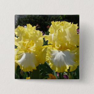 Yellow Bearded Iris Irises Flowers floral 15 Cm Square Badge