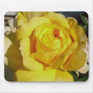 Yellow Beauty Rose Mousepad