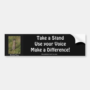 Yellow-Bellied Marmot Bumper Sticker