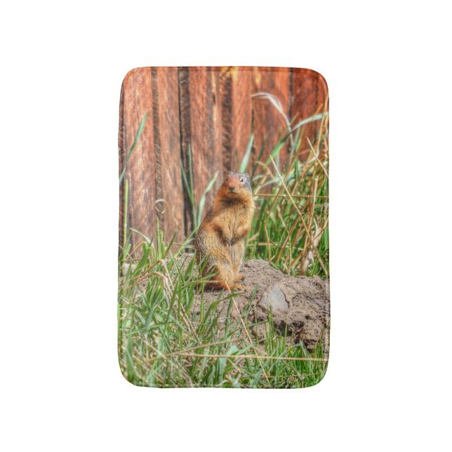Yellow-bellied Marmot by a Barn Wildlife Photo Bath Mat (Front Vertical)