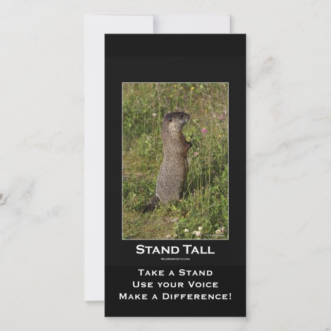 Yellow-Bellied Marmot Card (Front)