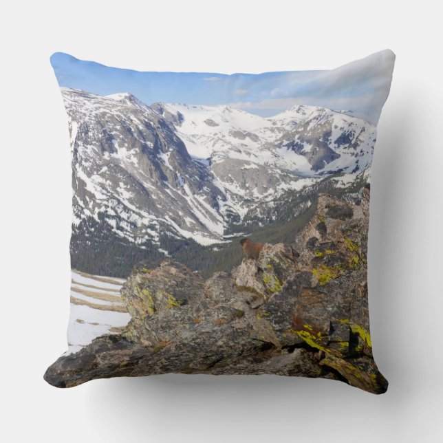 Yellow-Bellied Marmot Gazing at Rocky Mountains Cushion (Front)