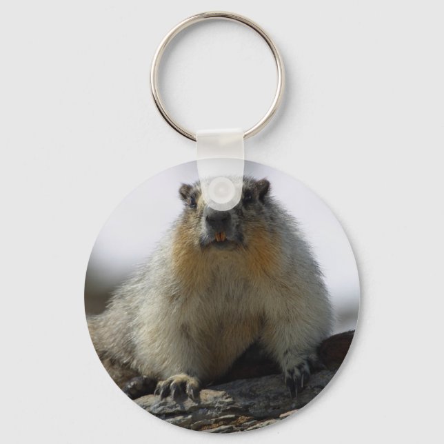 Yellow Bellied Marmot Key Ring (Front)