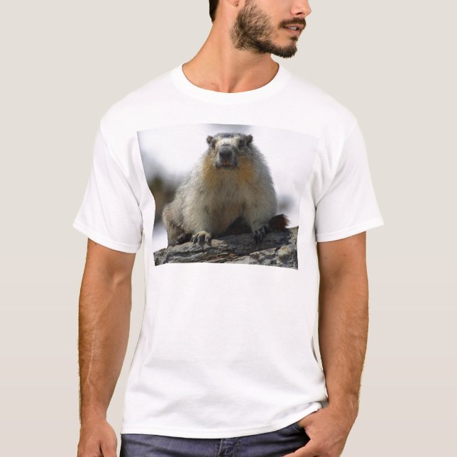 Yellow Bellied Marmot T-Shirt (Front)