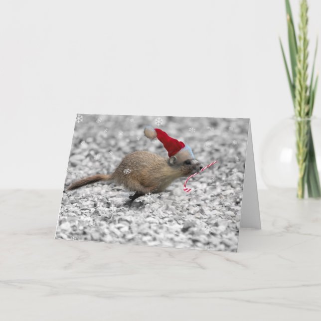 Yellow-bellied Marmots First Christmas Holiday Card (Front)