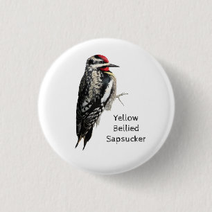 Yellow-Bellied Sapsucker 3 Cm Round Badge