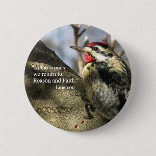 Yellow-bellied Sapsucker button. 6 Cm Round Badge