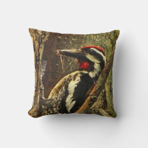Yellow-bellied Sapsucker Cushion