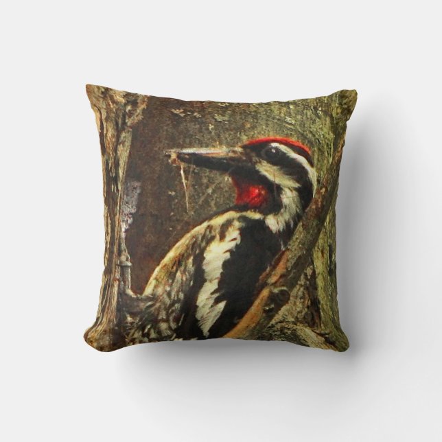 Yellow-bellied Sapsucker Cushion (Front)