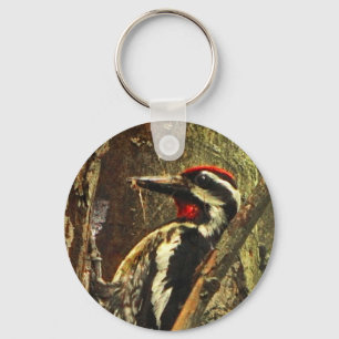 Yellow-bellied Sapsucker Key Ring