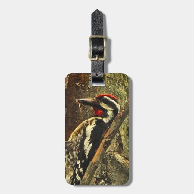 Yellow-bellied Sapsucker Luggage Tag (Front Vertical)