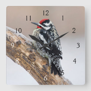 Yellow-bellied Sapsucker male Square Wall Clock