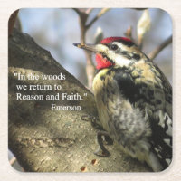 Yellow-bellied Sapsucker Meditation Coaster Set.
