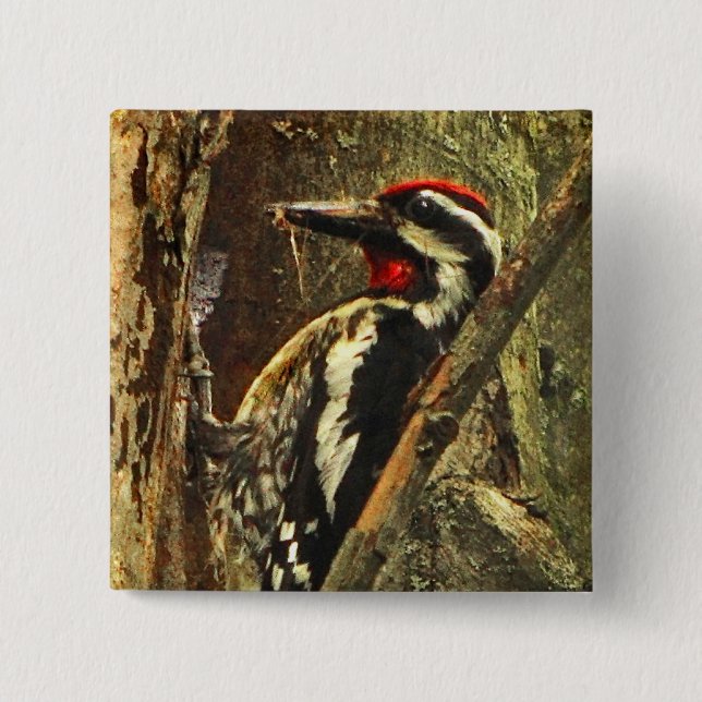 Yellow-bellied Sapsucker Pin (Front)