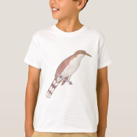 Yellow-billed Cuckoo