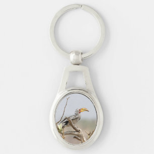 Yellow billed hornbill key ring