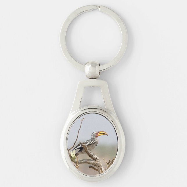 Yellow billed hornbill key ring (Front)