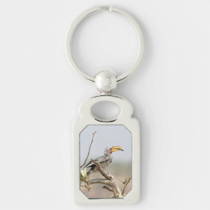 Yellow billed hornbill key ring