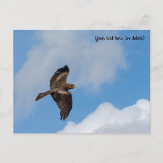 Yellow-Billed Kite Postcard