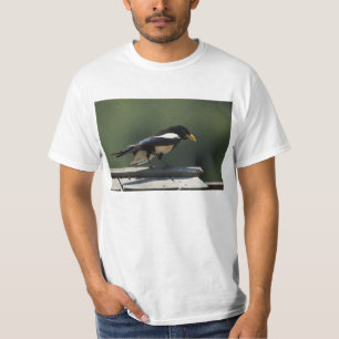Yellow Billed Magpie T-Shirt