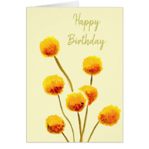 Yellow Billy Button native Australian flower