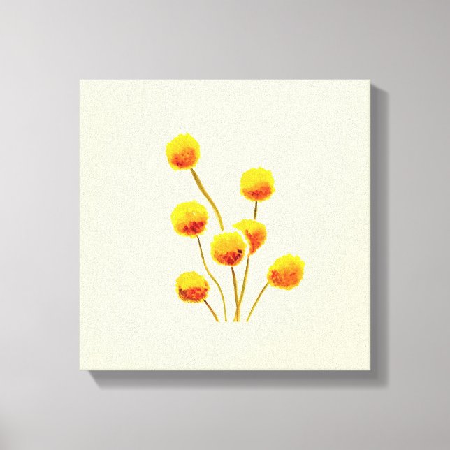 Yellow Billy Button native Australian flower Canvas Print (Front)