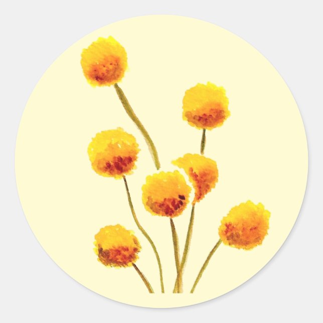 Yellow Billy Button native Australian flower Classic Round Sticker (Front)