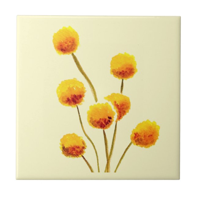 Yellow Billy Button native Australian flower Tile (Front)