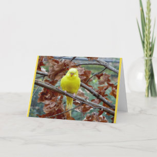 Yellow Bird Blank Greeting Card