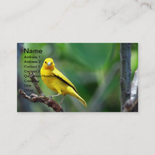 Yellow Bird Business Card