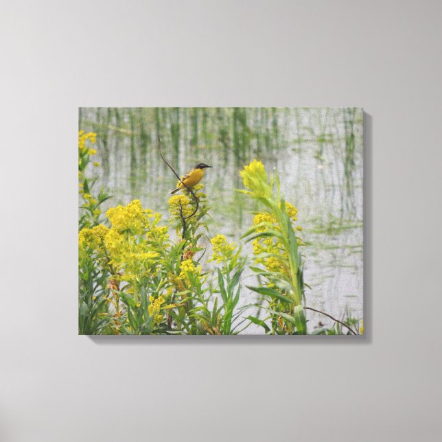 Yellow Bird on Yellow Flowers Canvas Print (Front)