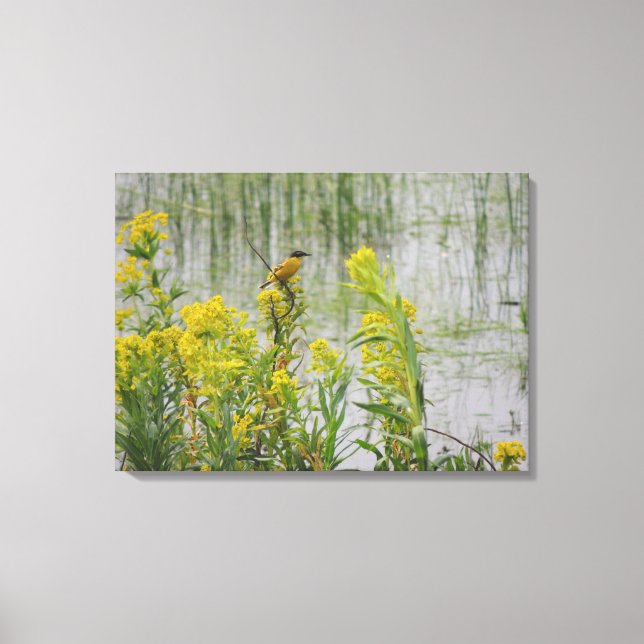 Yellow Bird on Yellow Flowers Canvas Print (Front)
