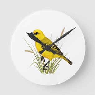 yellow bird round clock