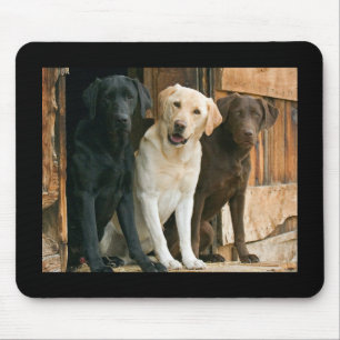 Yellow, Black, Brown Labrador Retriever Mousepad