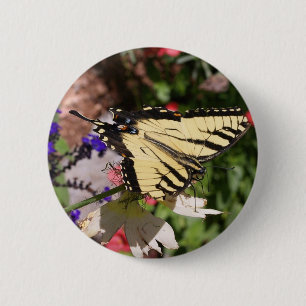 Yellow & Black Fantail Butterfly 6 Cm Round Badge