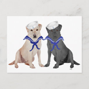 Yellow & Black Labrador Retrievers Postcard