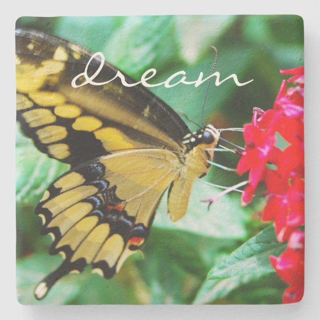 Yellow Black Swallowtail Butterfly Dream Script Stone Coaster (Front)