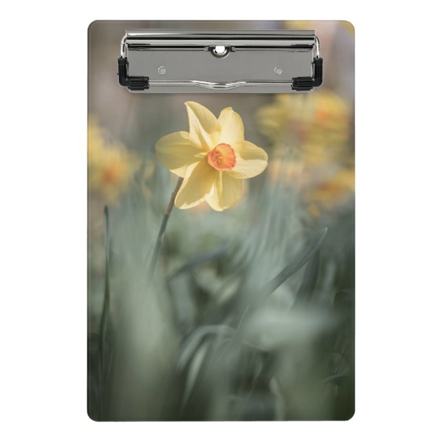 Yellow Blossom Nature Photo Mini Clipboard (Front)