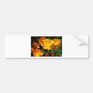 Yellow Blossoms Flowers Art Peace Love Destiny Bumper Sticker
