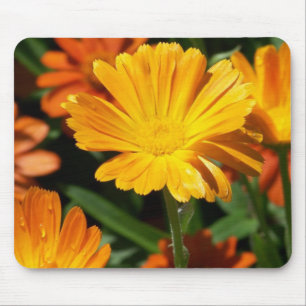 Yellow Blossoms Flowers Art Peace Love Destiny Mouse Mat